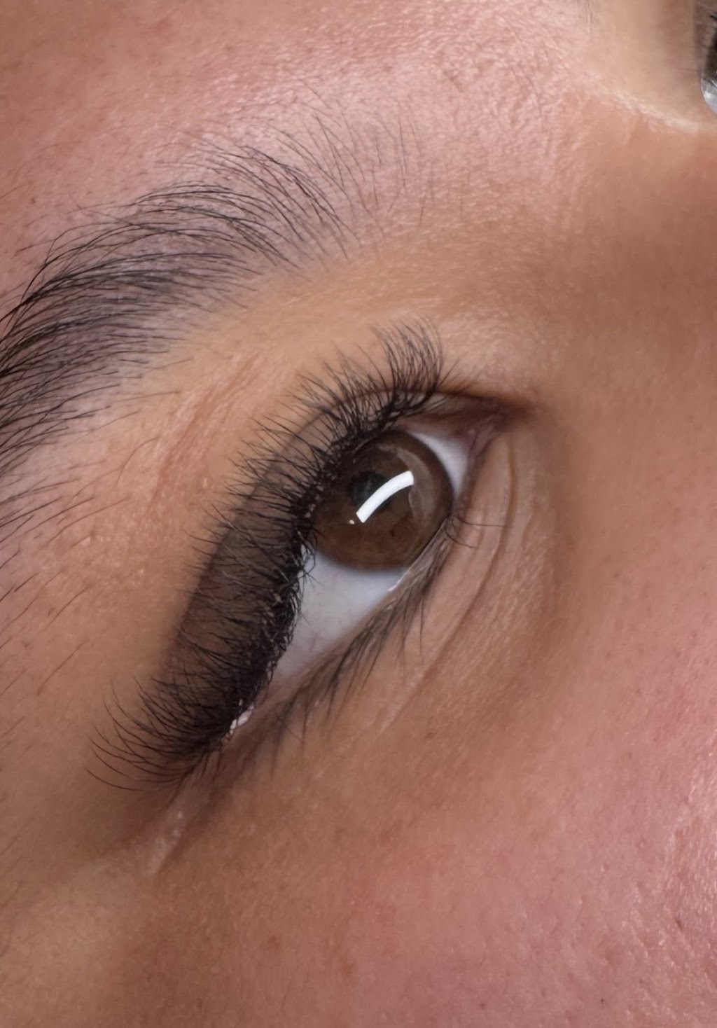 Lashes XO | 59 Beale St, Oakey QLD 4401, Australia | Phone: 0434 032 512