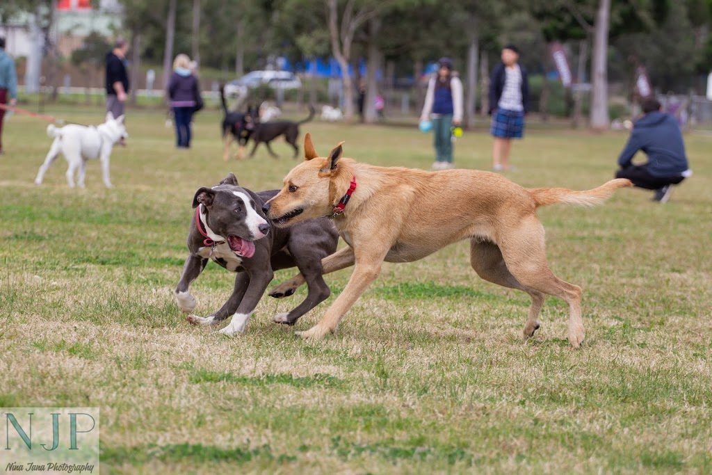 Bungarribee Dog Park | park | Doonside Rd, Doonside NSW 2767, Australia