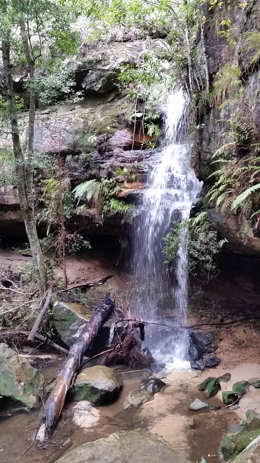 Horseshoe Falls | park | Oaklands Rd, Hazelbrook NSW 2779, Australia