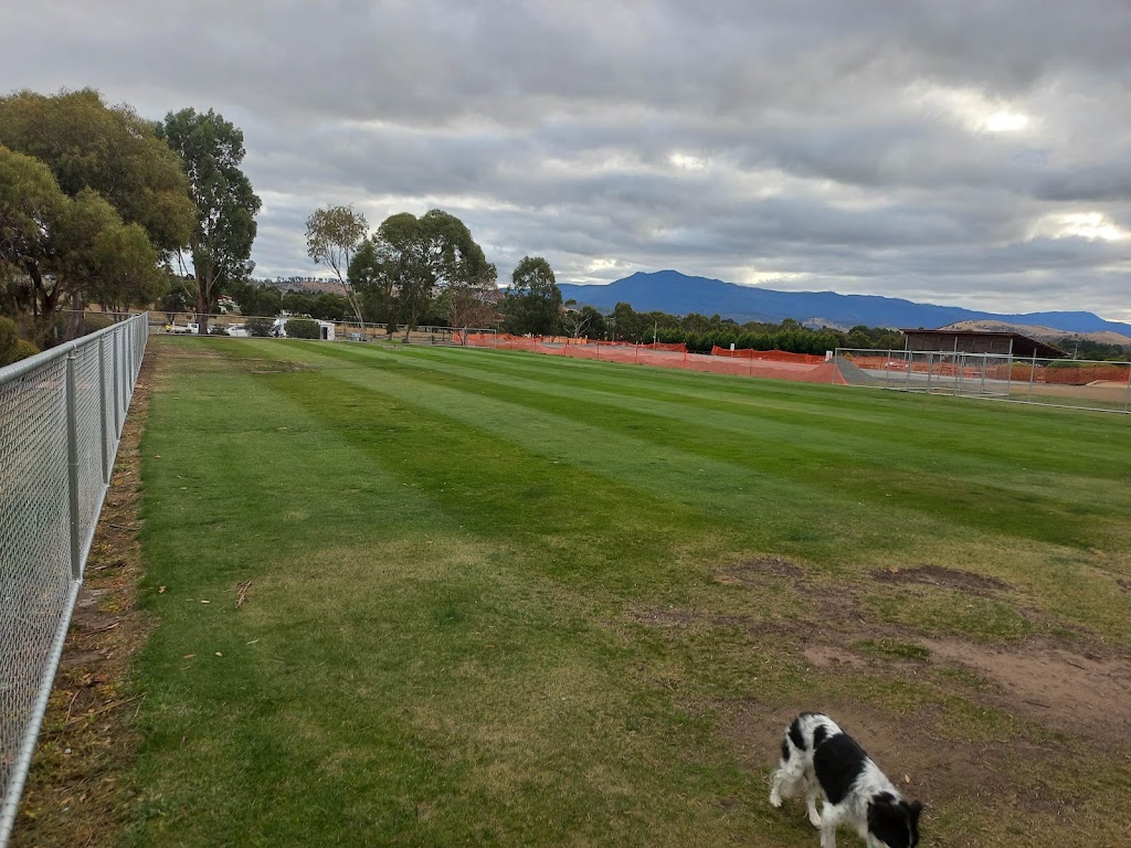 Tassie Flying Paws Dog Club | Glen Lea Rd, Pontville TAS 7030, Australia | Phone: 0407 873 485