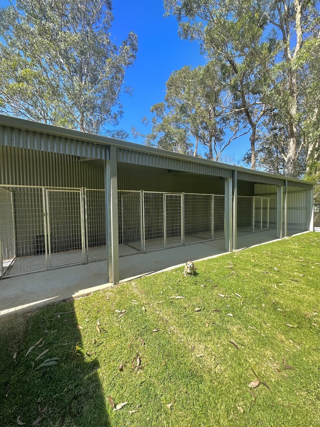 The Pet Emporium Doggy Lodge | 5 Summers Cl, Medowie NSW 2318, Australia | Phone: 0422 424 928