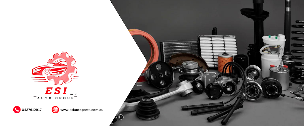 ESI AUTO GROUP PTY LTD | 81 Wolston Rd, Sumner QLD 4074, Australia | Phone: 0457 407 140