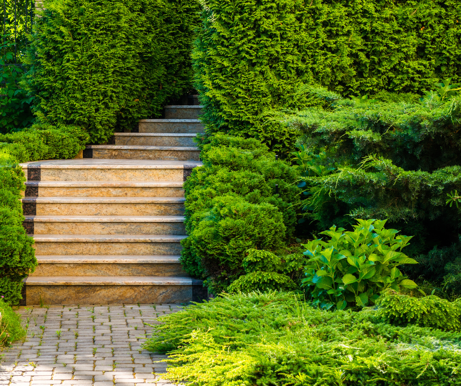 Better Lawn Co | 16 Fletcher Dr, Armstrong Creek VIC 3217, Australia | Phone: 0452 511 266