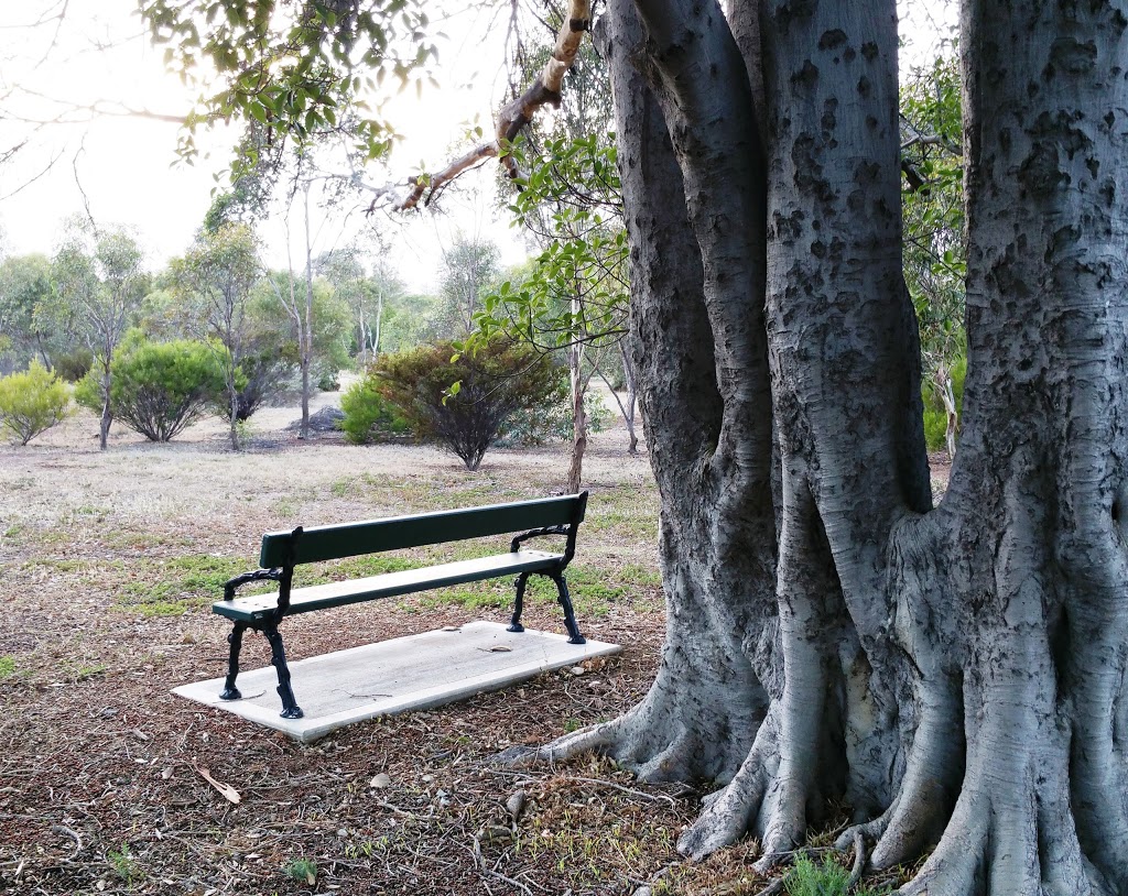 Yam Daisy Park / Kantarilla (Park 3) | park | North Adelaide SA 5006, Australia