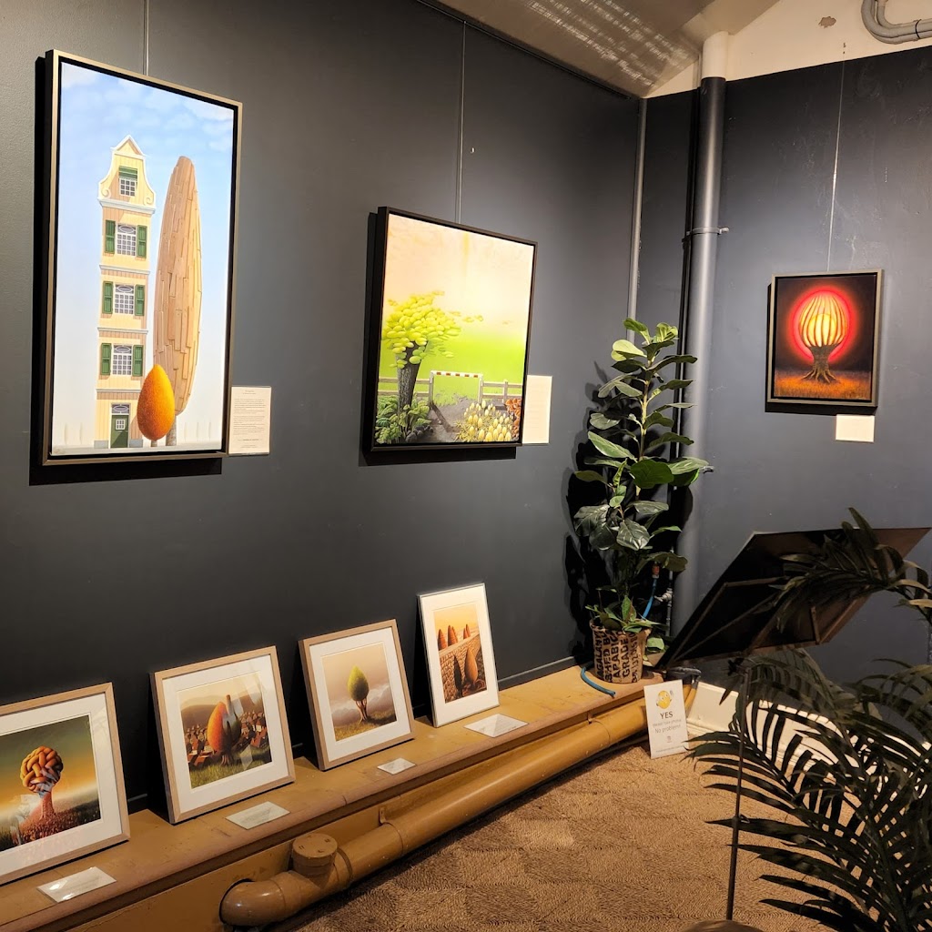 Studio Amsterdam | 321 High St, Maitland NSW 2320, Australia | Phone: 0481 941 681