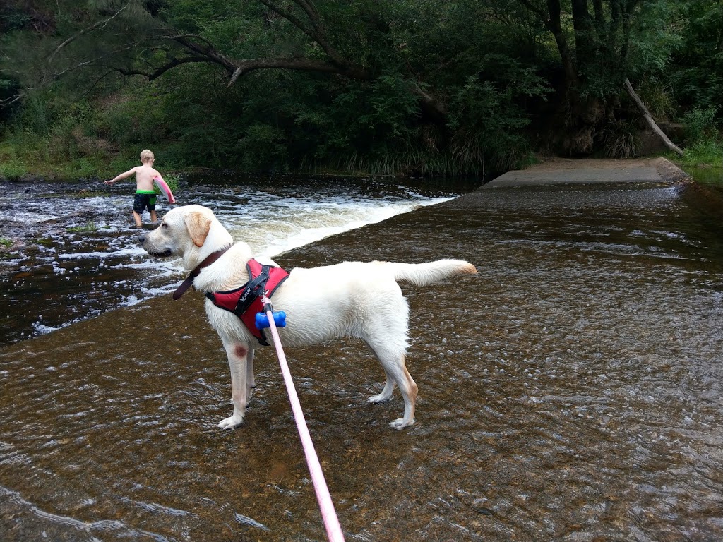 Hampden Bridge | tourist attraction | Moss Vale Rd, Kangaroo Valley NSW 2577, Australia | 131555 OR +61 131555