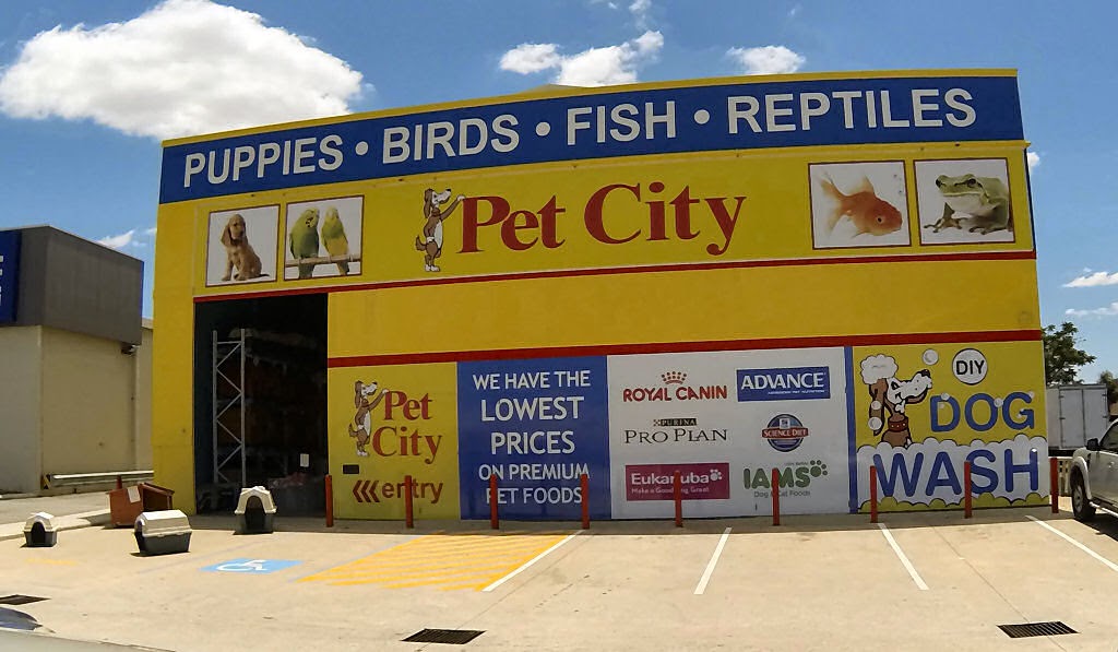 Pet City | pet store | 1126 Albany Hwy, Bentley WA 6102, Australia | 0892589093 OR +61 8 9258 9093