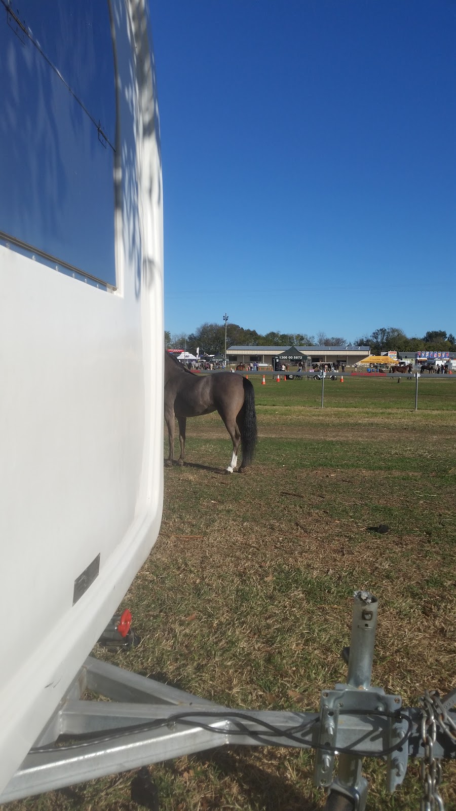 Laidley Showgrounds | LOT 2/LOT 2 MacGregor St, Laidley QLD 4341, Australia | Phone: 0435 929 383