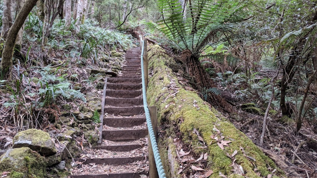 Leven Canyon Regional Reserve | Tasmania 7315, Australia