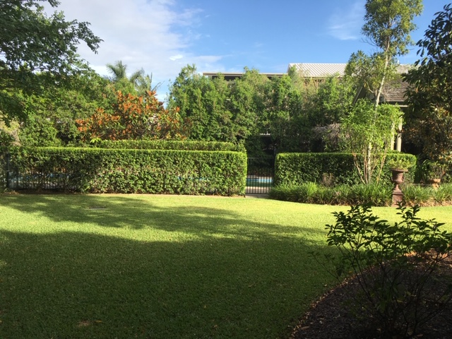 Lawn Guy - Total Lawn Care & Maintenance Aeration | 143 Hindes St, Lota QLD 4179, Australia | Phone: 0419 016 747