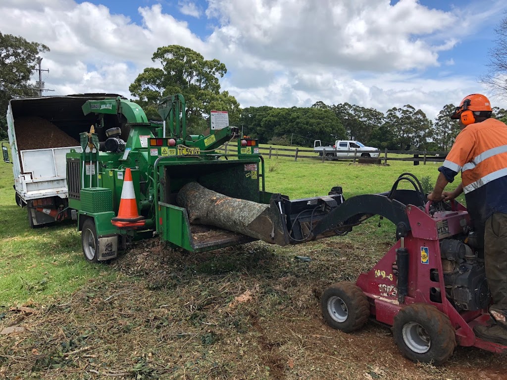 Hart Tree Services | 17 Golden Penda Pl, Mullumbimby NSW 2482, Australia | Phone: 0427 347 380