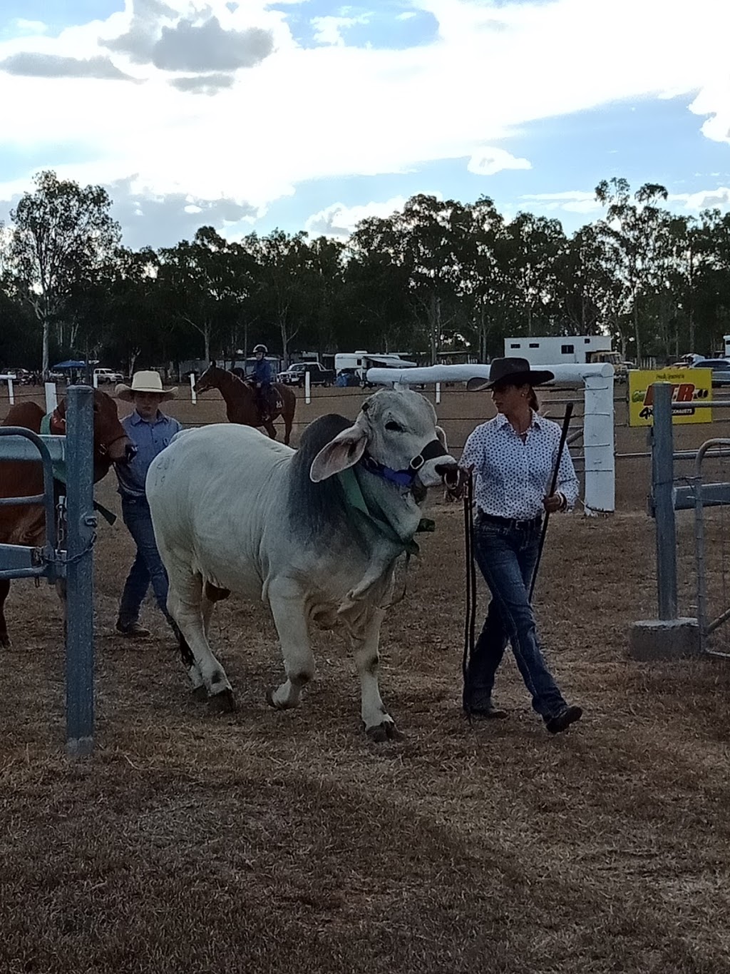 Callide Valley Show Society - 286 Callide St, Biloela QLD 4715, Australia