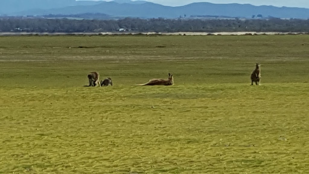 Narawntapu National Park, Parks and Wildlife Service | 1349 Bakers Beach Rd, Bakers Beach TAS 7307, Australia | Phone: (03) 6428 6277