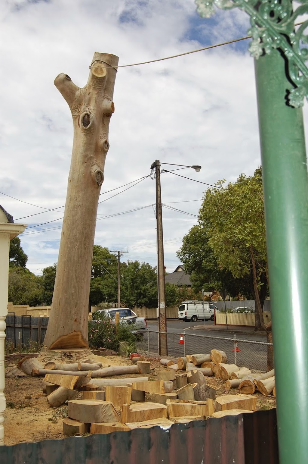 Rite Way Tree Services | 8 Bond St, Happy Valley SA 5159, Australia | Phone: 0404 039 123