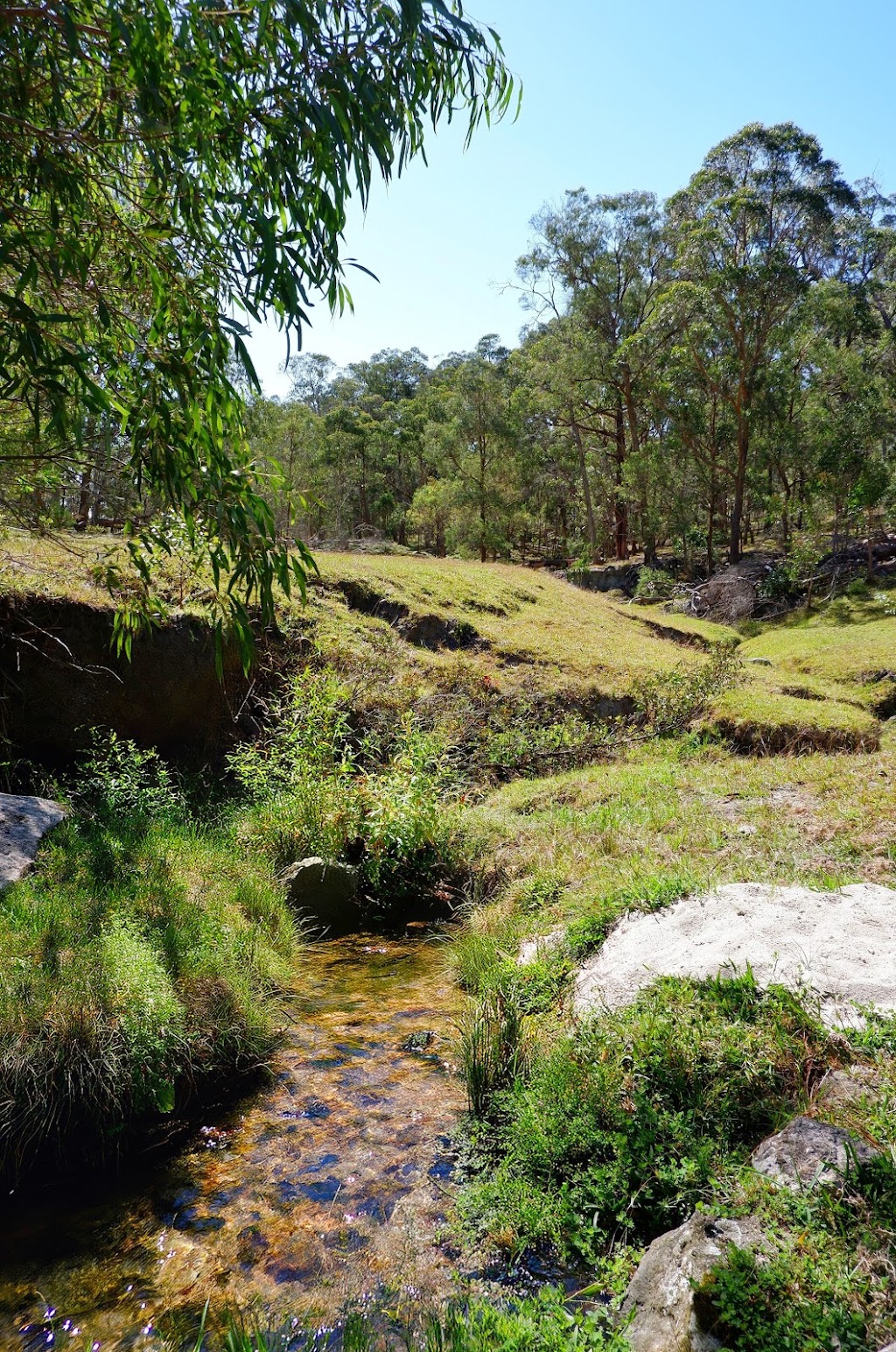 Doustys Farm Stay | 12089 Gwydir Hwy, Glen Elgin NSW 2370, Australia | Phone: 0428 162 158