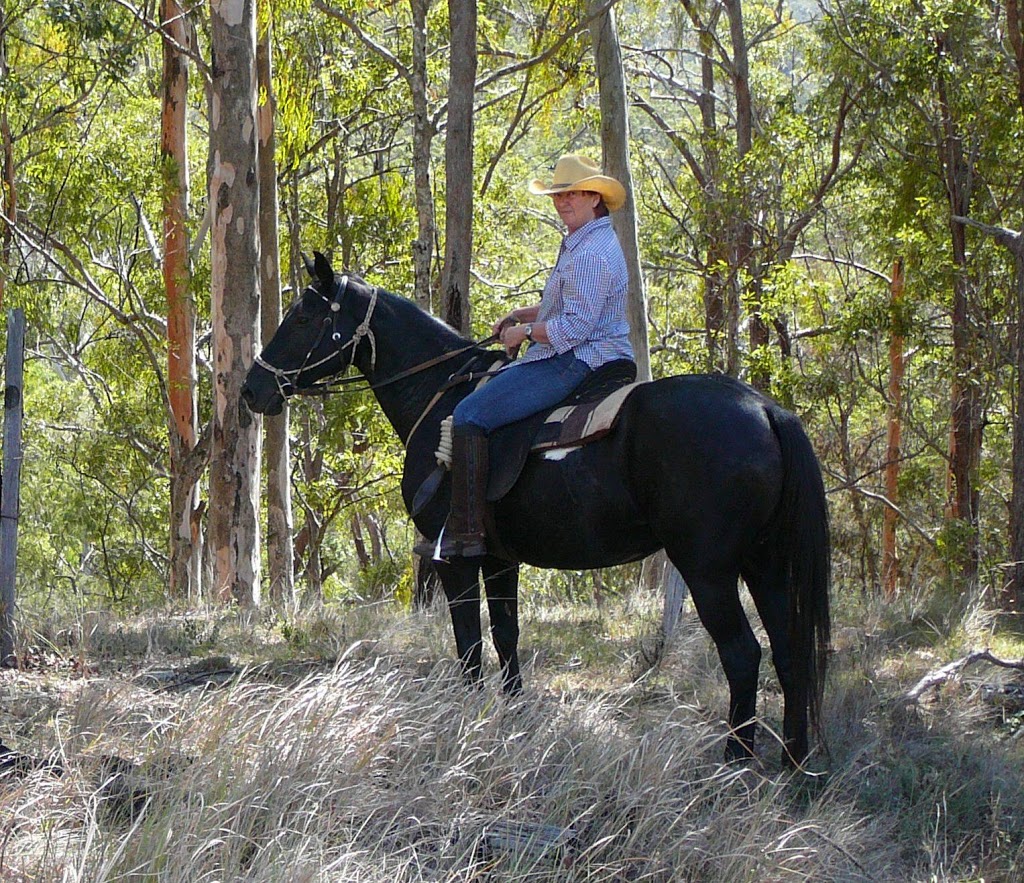 TRANSEQ Horse Transport | 72 Lahey Rd, Tamborine Mountain QLD 4272, Australia | Phone: (07) 5545 2414