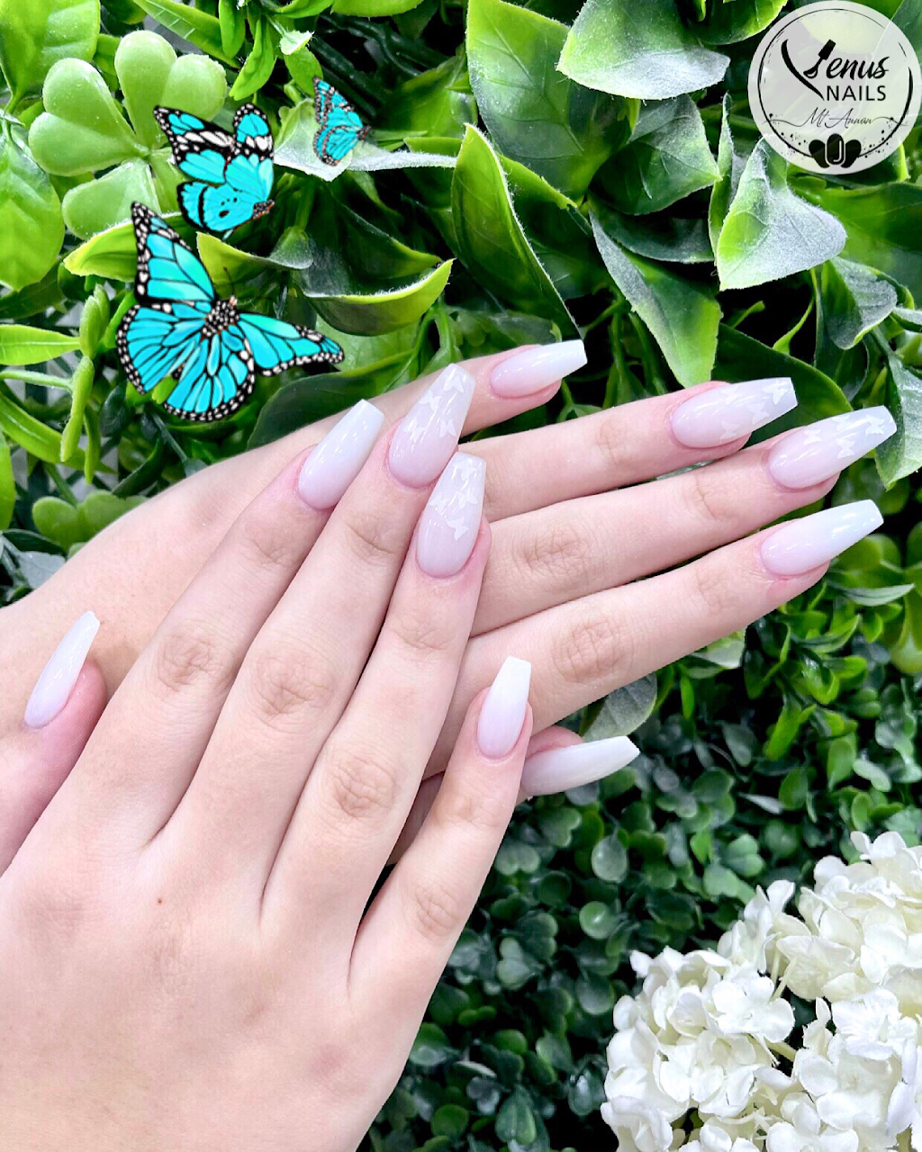 Venus Nails - Mount Annan | Shop L37/11-13 Main St, Mount Annan NSW 2567, Australia | Phone: (02) 4647 8933