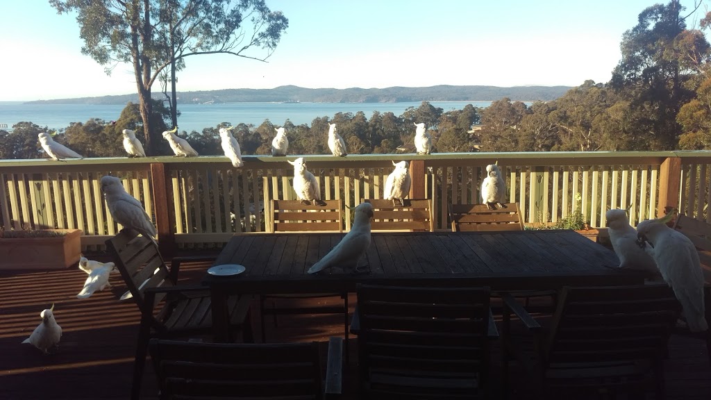 Whale Cove Bed & Breakfast Eden | 13 Whale Cove Cct, Eden NSW 2551, Australia | Phone: (02) 6496 2324