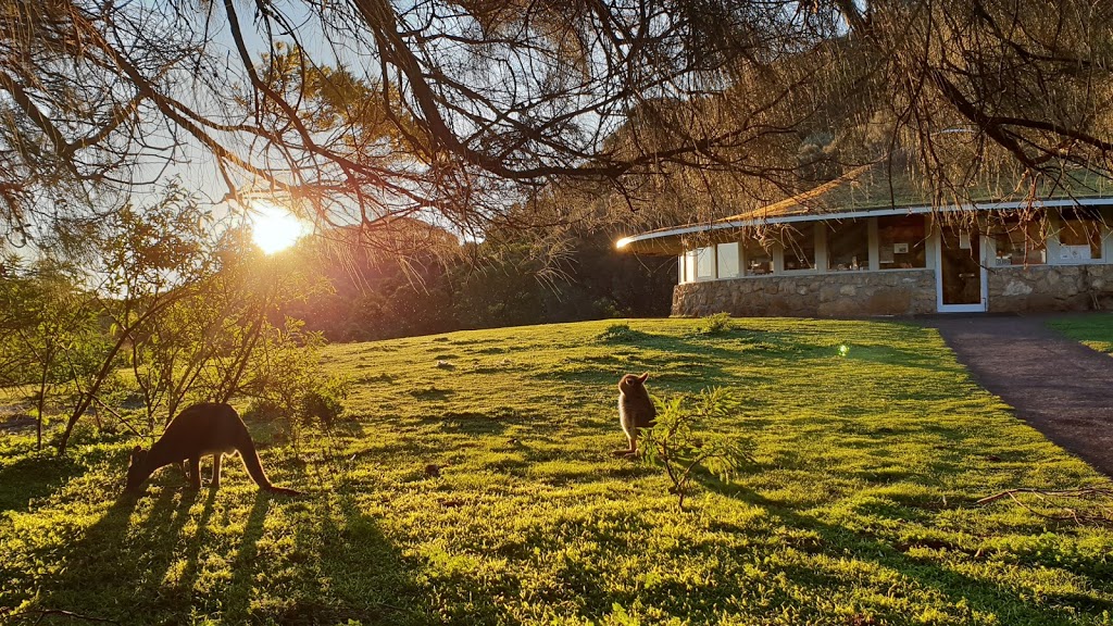 Tower Hill Park Boundary | Entrance Rd, Tower Hill VIC 3283, Australia