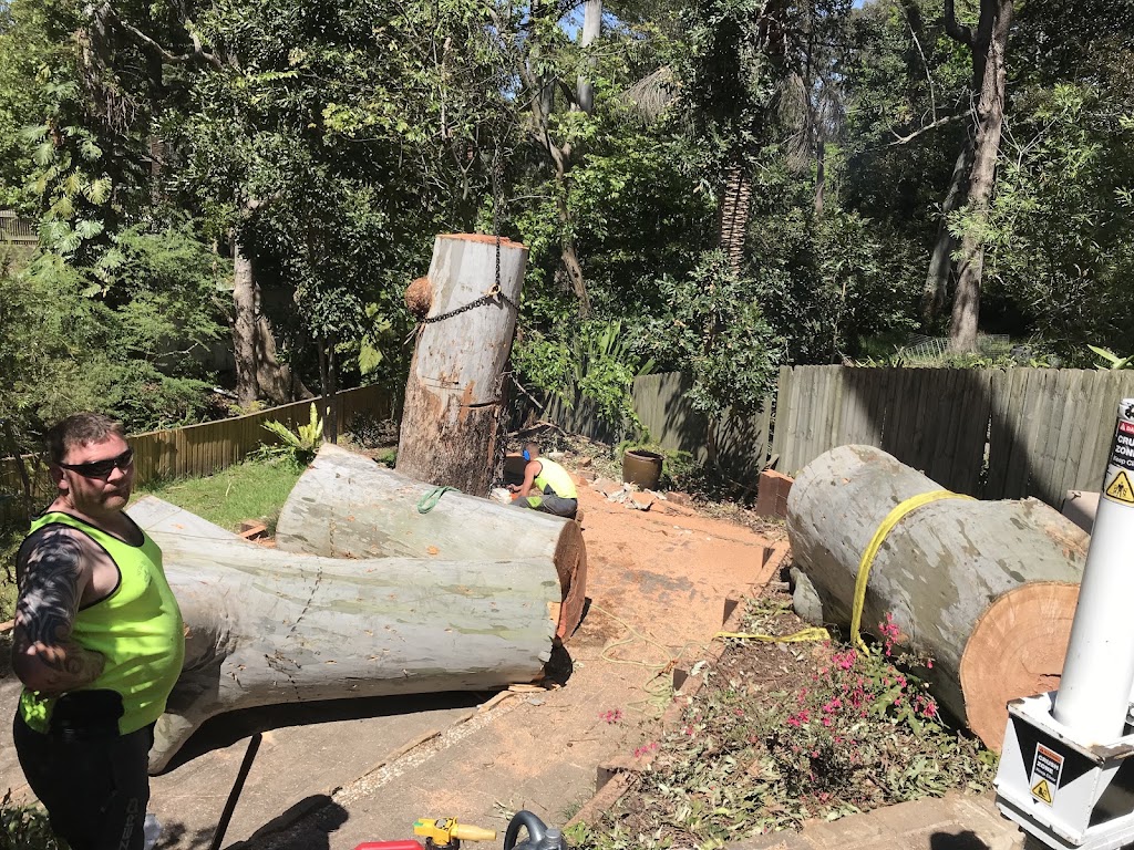 Fast Call Tree Service | 21 Geraldine Ave, Baulkham Hills NSW 2153, Australia | Phone: 1800 800 206