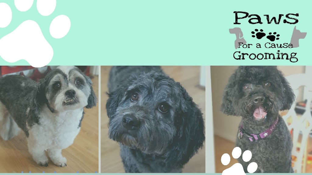 Paws For A Cause Grooming | 190 The Cove Rd, Hallett Cove SA 5158, Australia | Phone: 0412 671 910