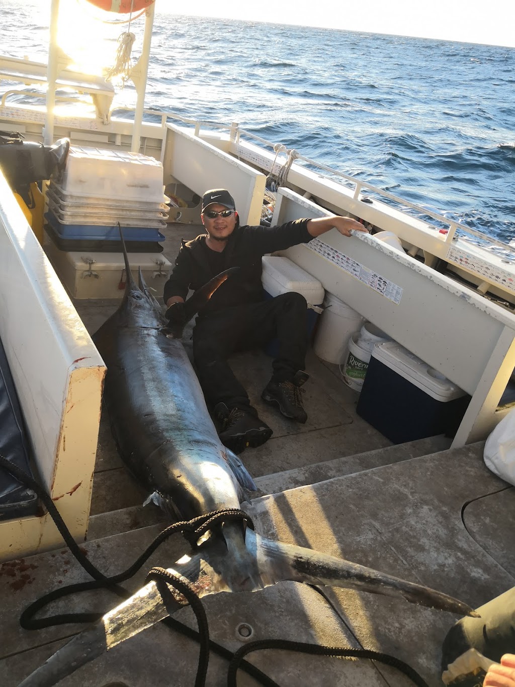 Pro Perch Fishing Charters | Endeavour Dr, Wollongong NSW 2500, Australia | Phone: 0433 918 869
