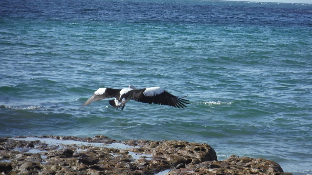 Abrahams Bosom Reserve | Gerringong St, Beecroft Peninsula NSW 2540, Australia