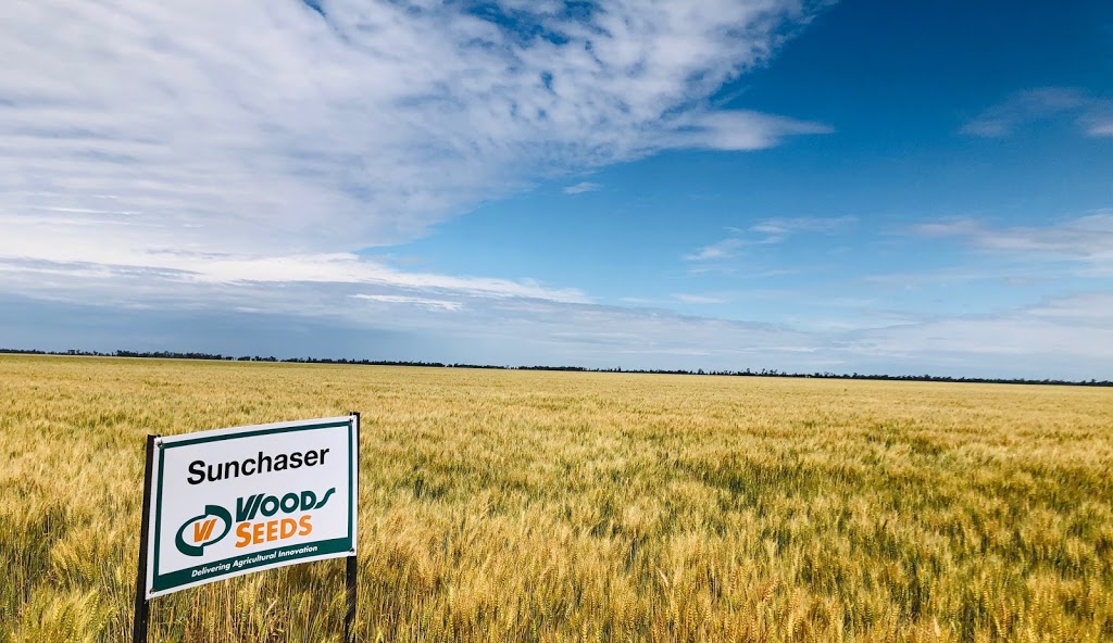 Woods Group | 31 Lagoon St, Goondiwindi QLD 4390, Australia | Phone: (07) 4670 0400