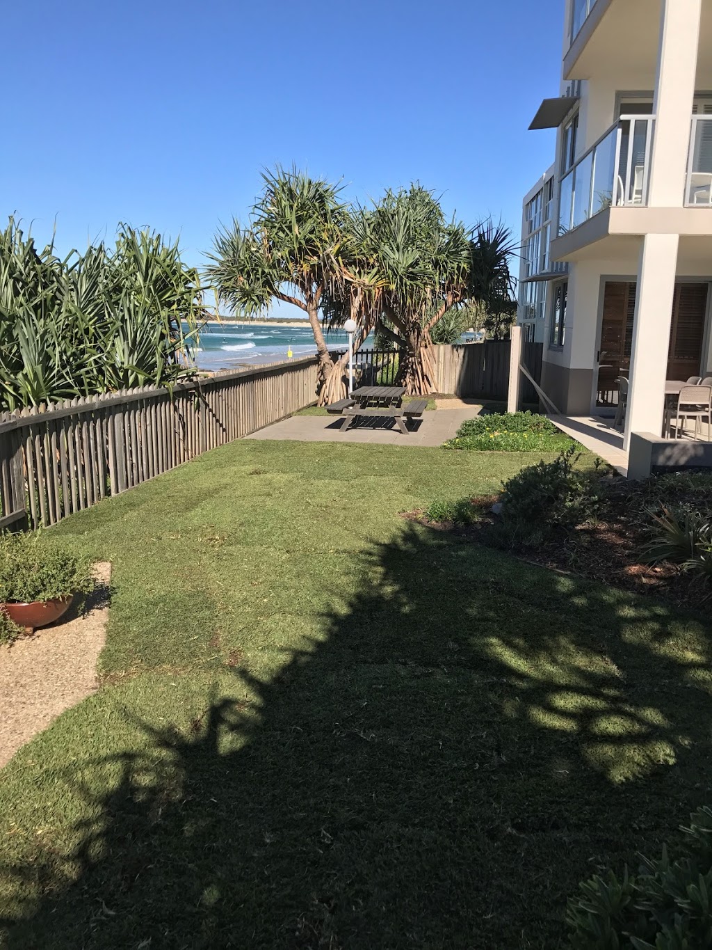 CT Lawns Turf |  | 21 Ballantyne Ct, Glenview QLD 4553, Australia | 1800685296 OR +61 1800 685 296