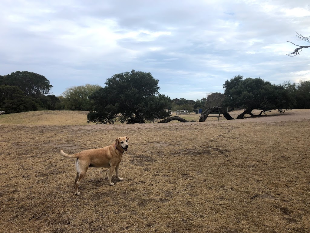 Off Leash Fenced Dog Park | park | 1 Billabong Walk, Mornington VIC 3931, Australia