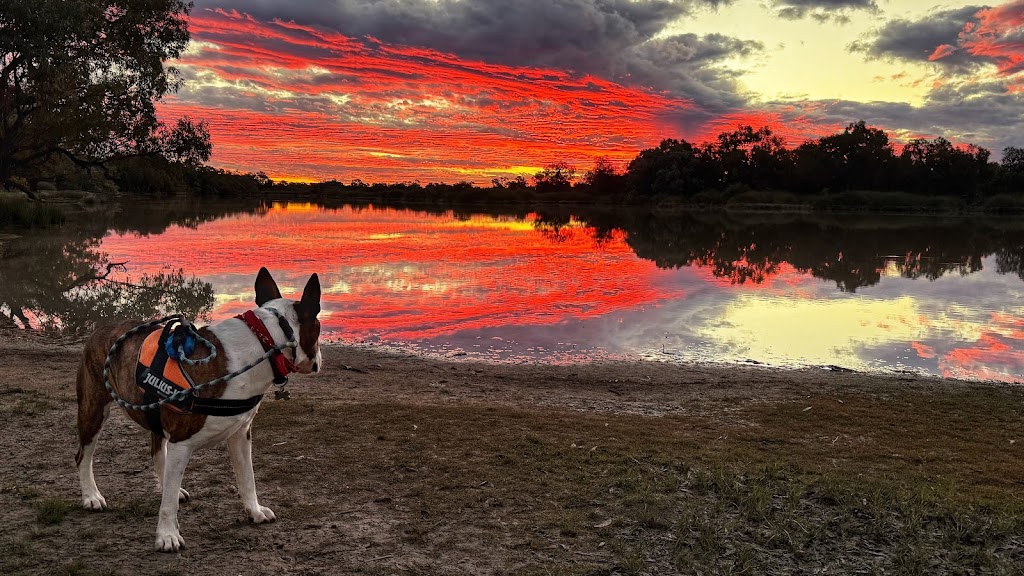 Lower Lila Retreat | Lower Lila Rd, Fords Bridge NSW 2840, Australia | Phone: 0456 398 404