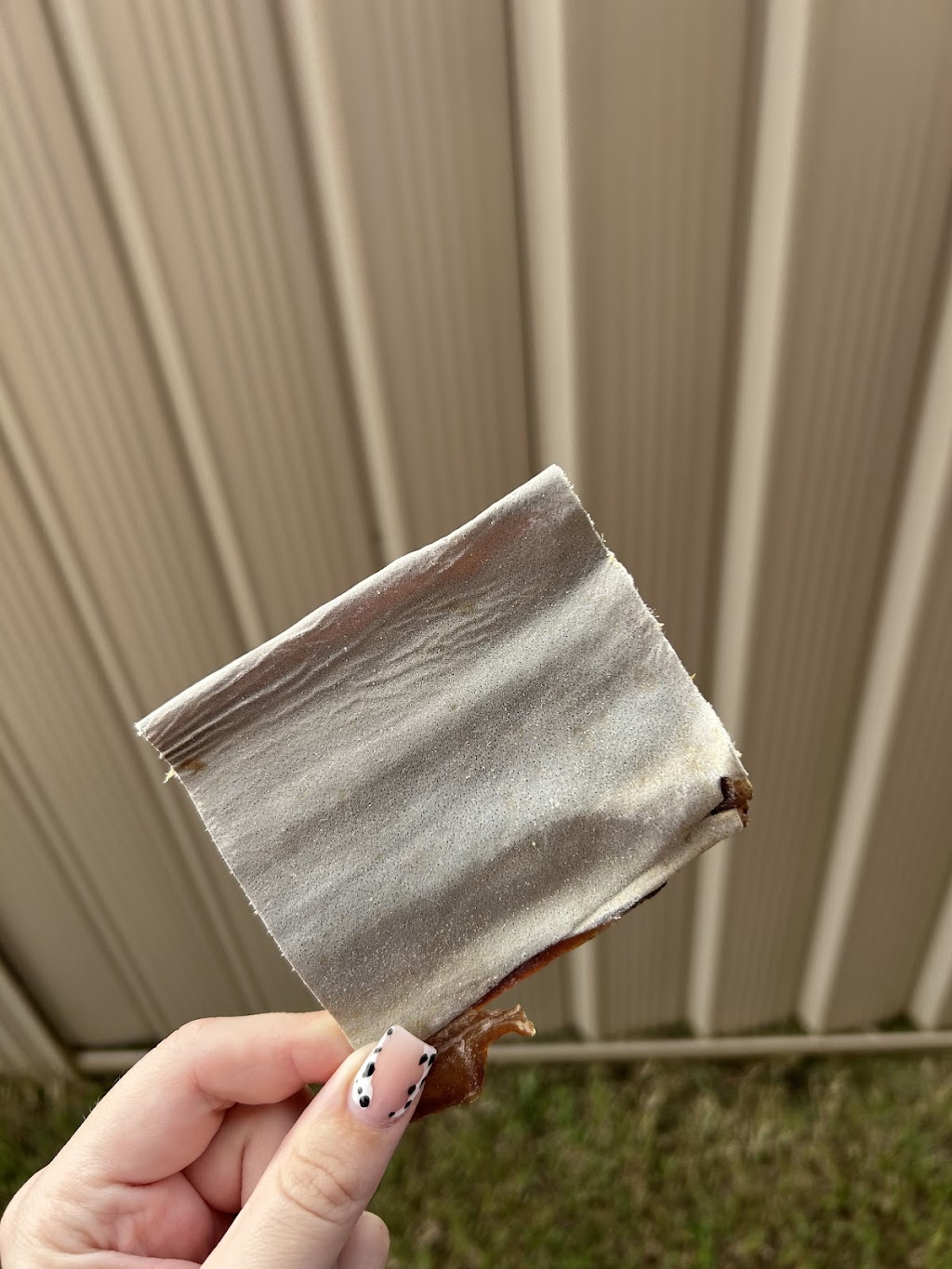 Charlie and the Treat Factory | 16 Coral Fern Way, Gwandalan NSW 2259, Australia | Phone: 0468 528 211