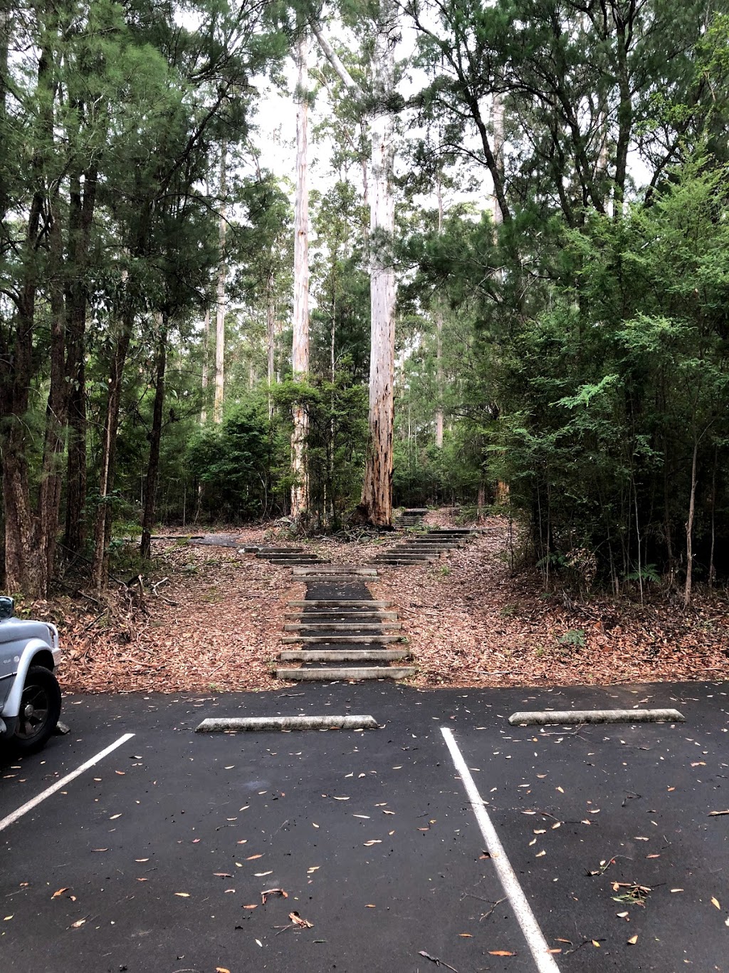 Big Brook Dam Parking | lodging | Channybearup WA 6260, Australia