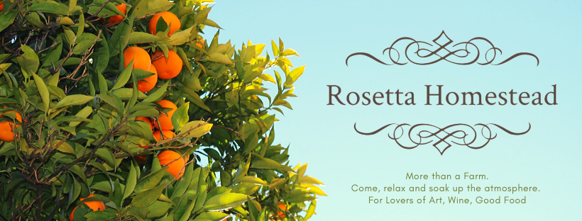 Rosetta Homestead | 25355 New England Hwy, The Summit QLD 4377, Australia | Phone: 0413 903 650