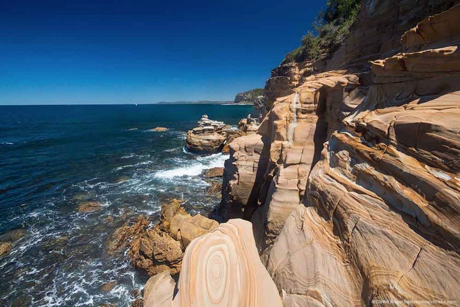 Celsius Architecture | 75 Cape Three Points Rd, Avoca Beach NSW 2251, Australia | Phone: 0403 390 169 Celsius Architecture | 75 Cape Three Points Rd, Avoca Beach NSW 2251, Australia | Phone: 0403 390 169