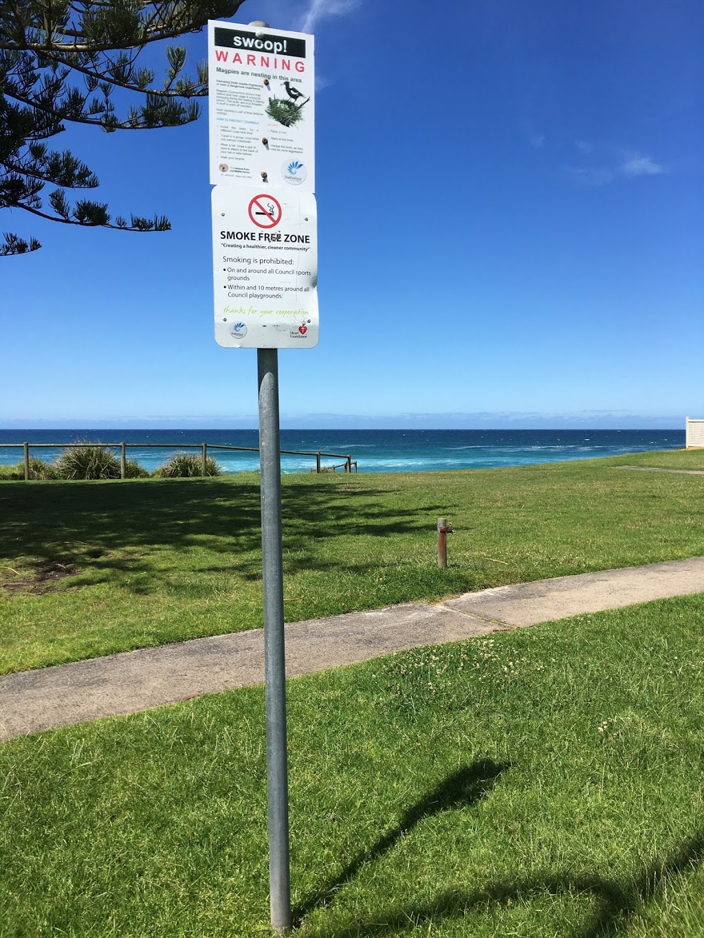 Bardsley Park | park | 59 Wollongong St, Shellharbour NSW 2529, Australia