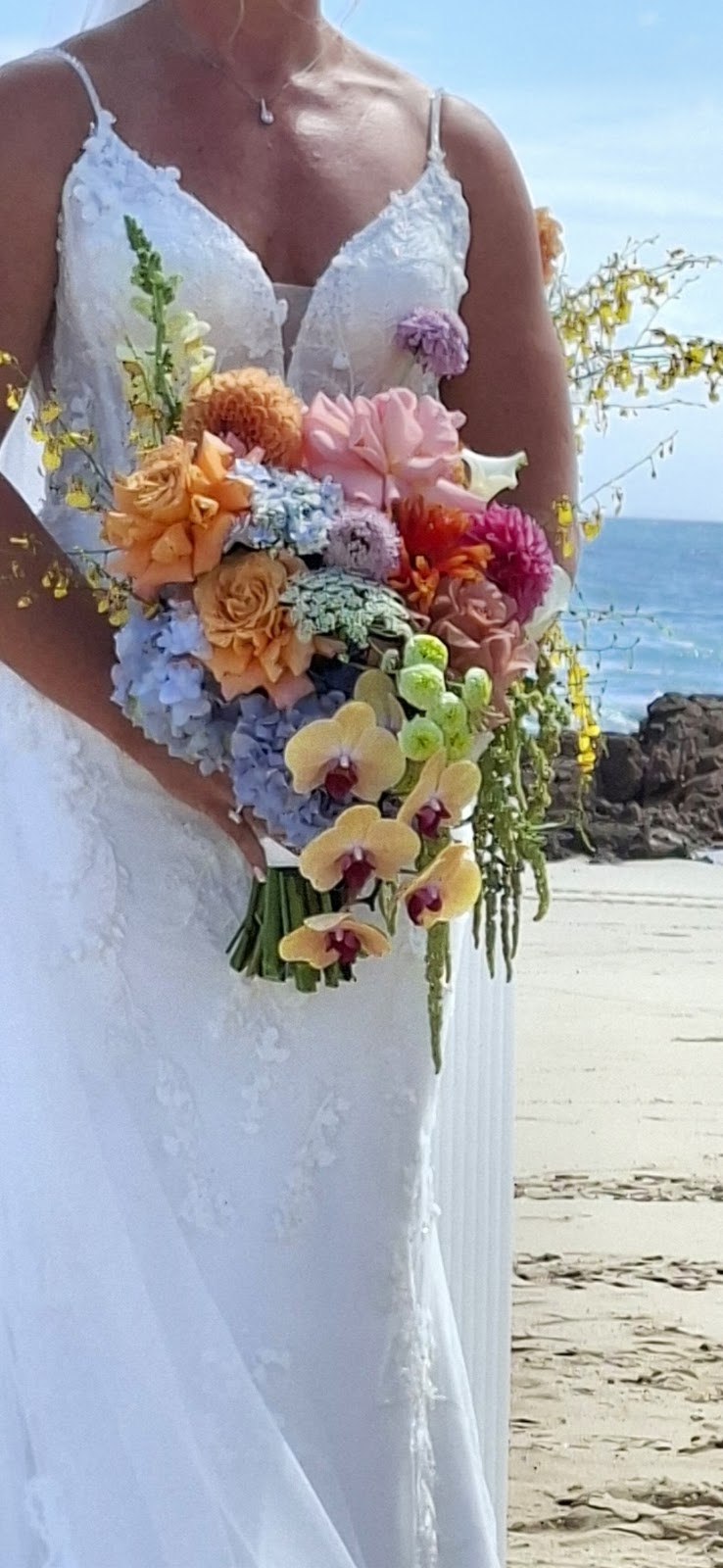 Posy Central | Bennett Rd, Colyton NSW 2760, Australia | Phone: 0451 126 394