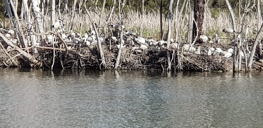 Jells Lake Bird hide | park | Wheelers Hill VIC 3150, Australia