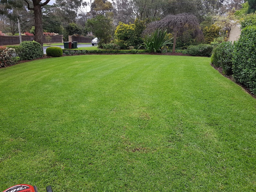 James & Co Mowing |  | 15 Echo St, Pelican Waters QLD 4551, Australia | 0401719914 OR +61 401 719 914
