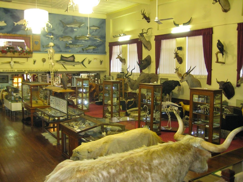 Academy of Taxidermy | museum | 131 James St, Guildford WA 6935, Australia | 0893773884 OR +61 8 9377 3884