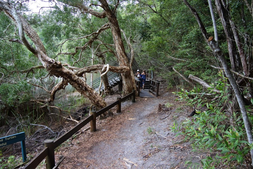 Lake Allom | park | Fraser Island QLD 4581, Australia