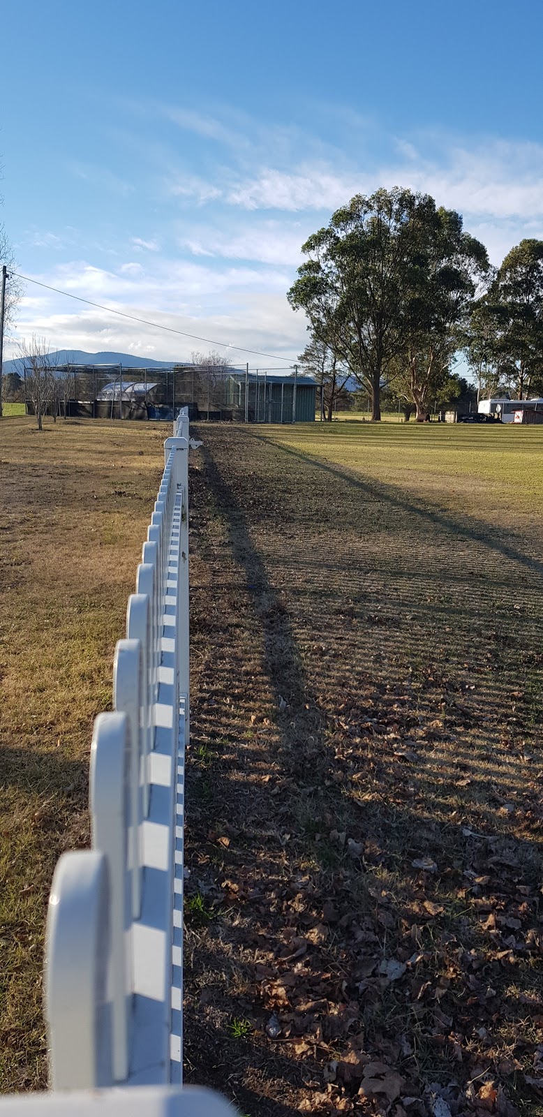 George Griffin Oval | gym | Carp St, Bega NSW 2550, Australia