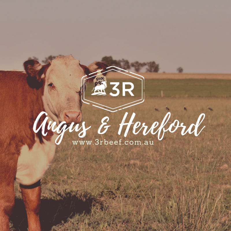 3R Livestock | food | Loomberah Rd, Loomberah NSW 2340, Australia | 0412425949 OR +61 412 425 949