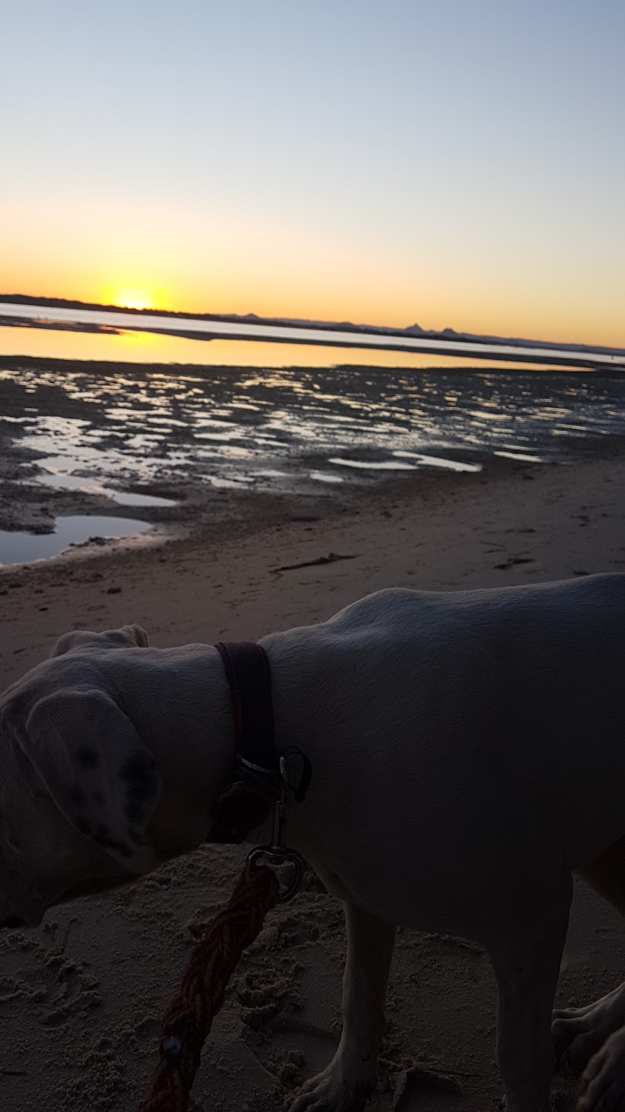 Sylvan Beach dog spot | gym | 159/161 Sylvan Beach Esplanade, Banksia Beach QLD 4507, Australia