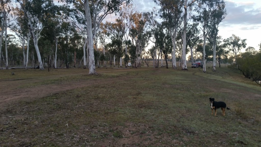 Broadwater Camping Reserve | campground | 23 Broadwater Access Rd, Sandy Ridges QLD 4615, Australia