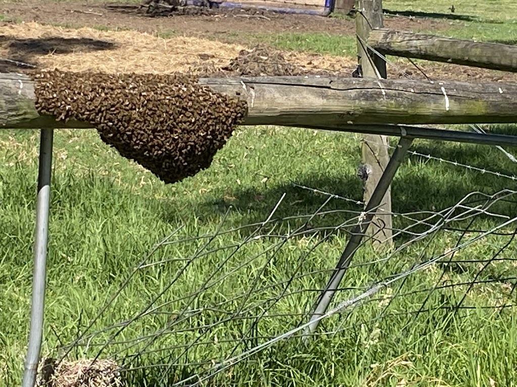 Wattletree Beekeeping | 4 Railway Ave, Bunyip VIC 3815, Australia | Phone: 0413 232 697