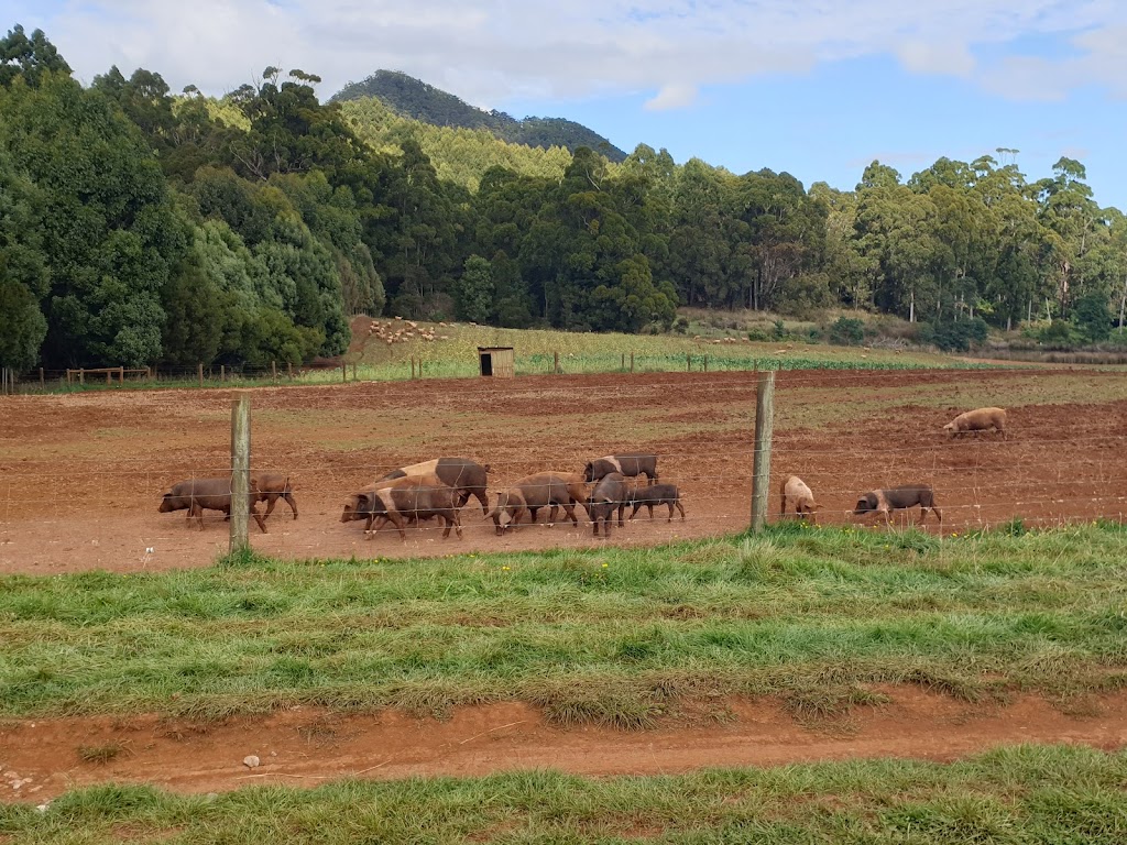 Mount Gnomon Farm | 886 Ironcliffe Rd, Penguin TAS 7316, Australia | Phone: 0448 067 779