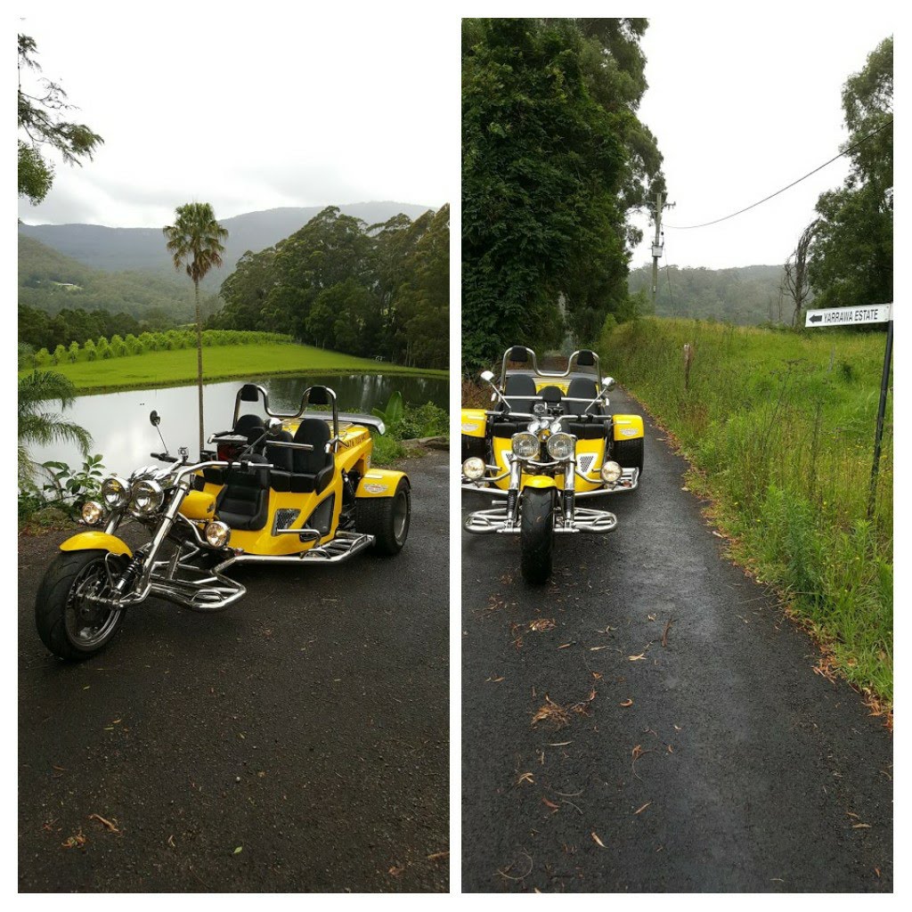 Kangaroo Valley Trike Tours | Mount Scanzi Rd, Kangaroo Valley NSW 2577, Australia | Phone: 0476 125 447