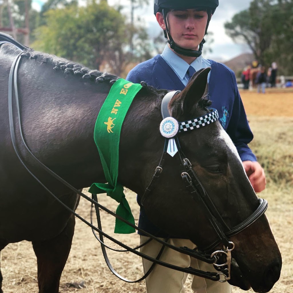 Sahara Park Riding School Forbes |  | 79 Amaroo Ln, Forbes NSW 2871, Australia | 0473509752 OR +61 473 509 752