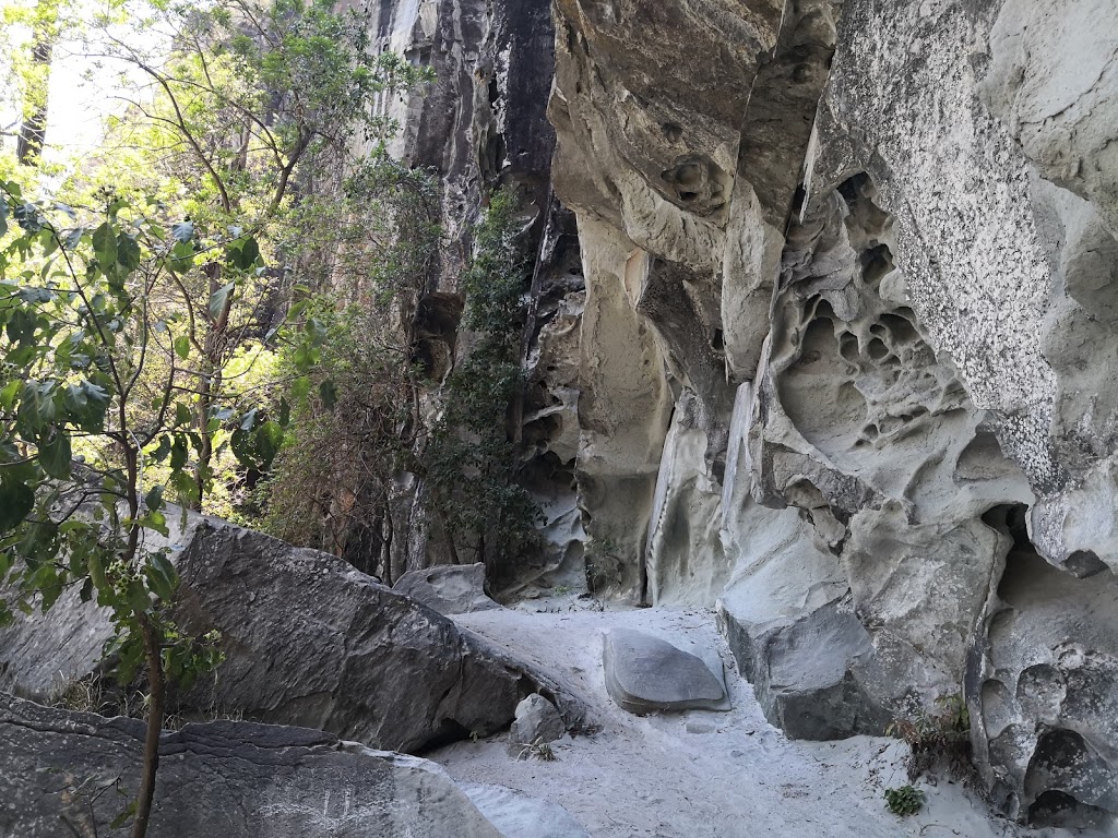 Mount Beerwah | Mt Beerwah Summit Trail, Glass House Mountains QLD 4518, Australia | Phone: 13 74 68